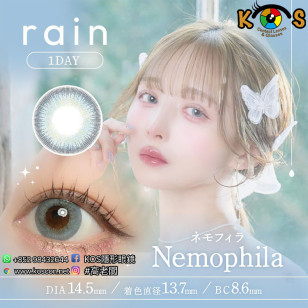 Rain 1Day Nemophila レイン ネモフィラ